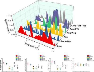 Activation of the Cholinergic Anti-inflammatory Pathway Attenuated Angiotension II-Dependent Hypertension and Renal Injury